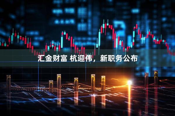 匯金財(cái)富 杭迎偉，新職務(wù)公布