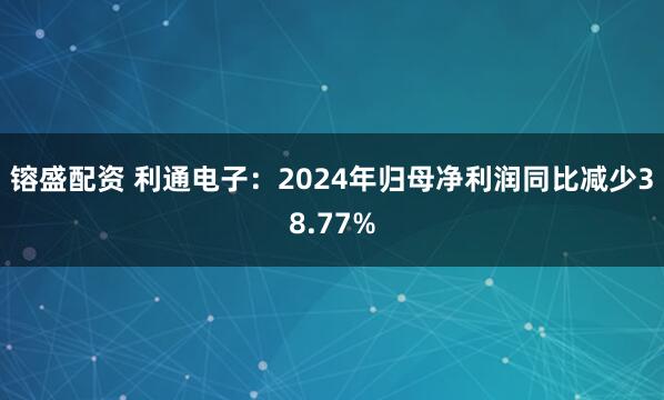 镕盛配資 利通電子：2024年歸母凈利潤(rùn)同比減少38.77%
